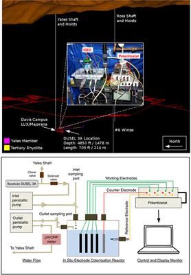 In situ Electrochemical Studies of the Terrestrial Deep Subsurface Biosphere at the Sanford Underground Research Facility, South Dakota, USA